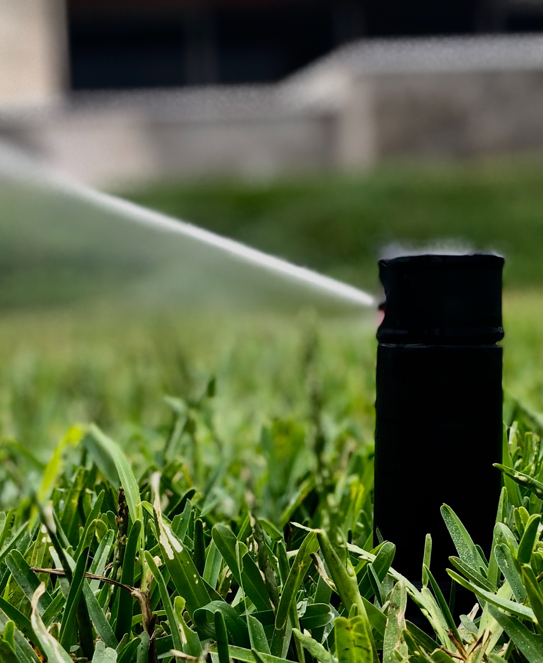 Aspersor emergente pasto San Agustín Tampico