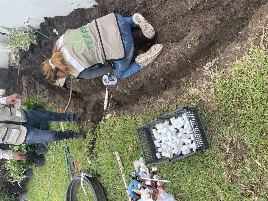 Instalación de sistema de riego comercial en Altamira Tampico
