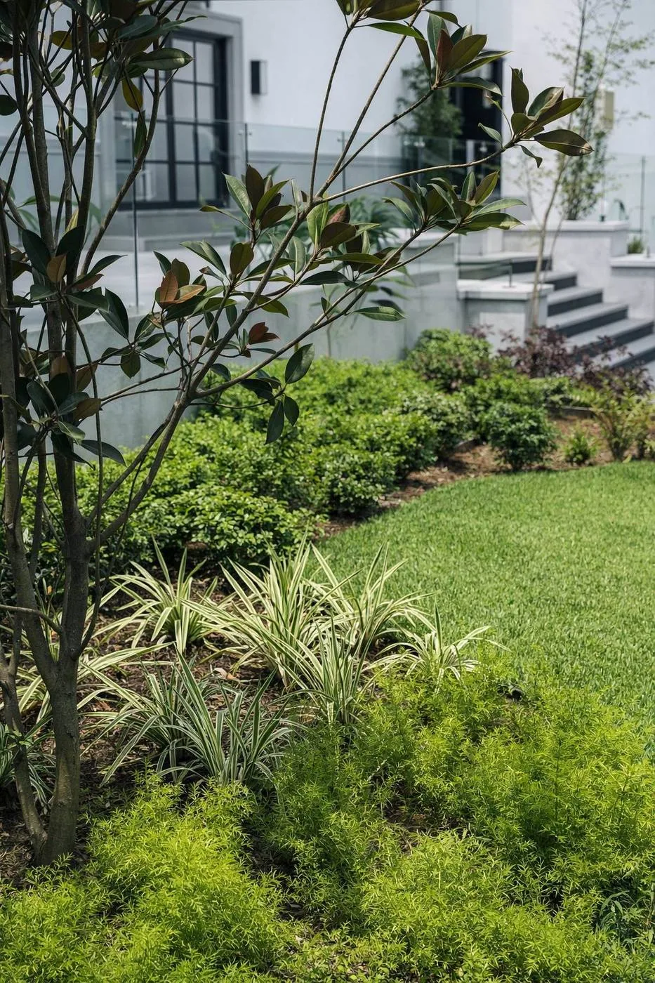 Jardín residencial con plantas ornamentales y pasto San Agustín en Tampico Altamira