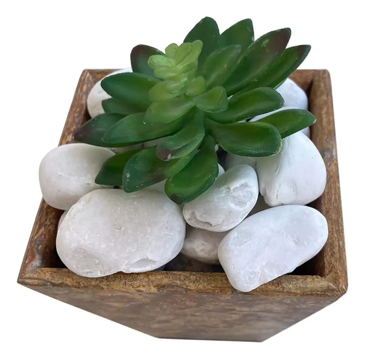 Mármol blanco en maceta decorativa con suculenta para interior