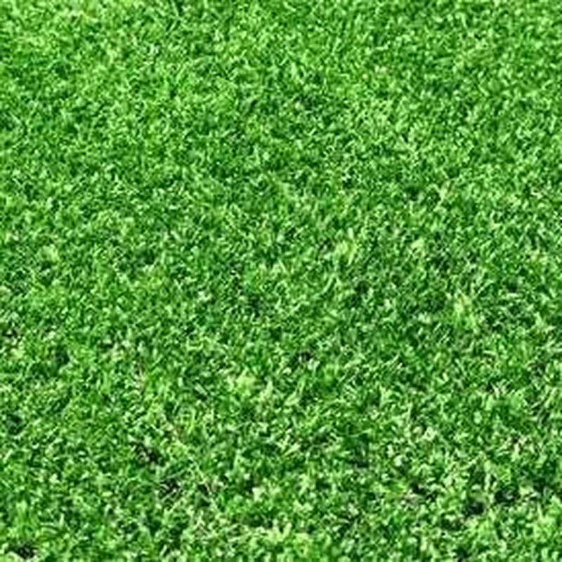 Textura del pasto sintético Aruba 10 de 10 mm y 1,000 g/m² — Decorativo - balcones y terrazas