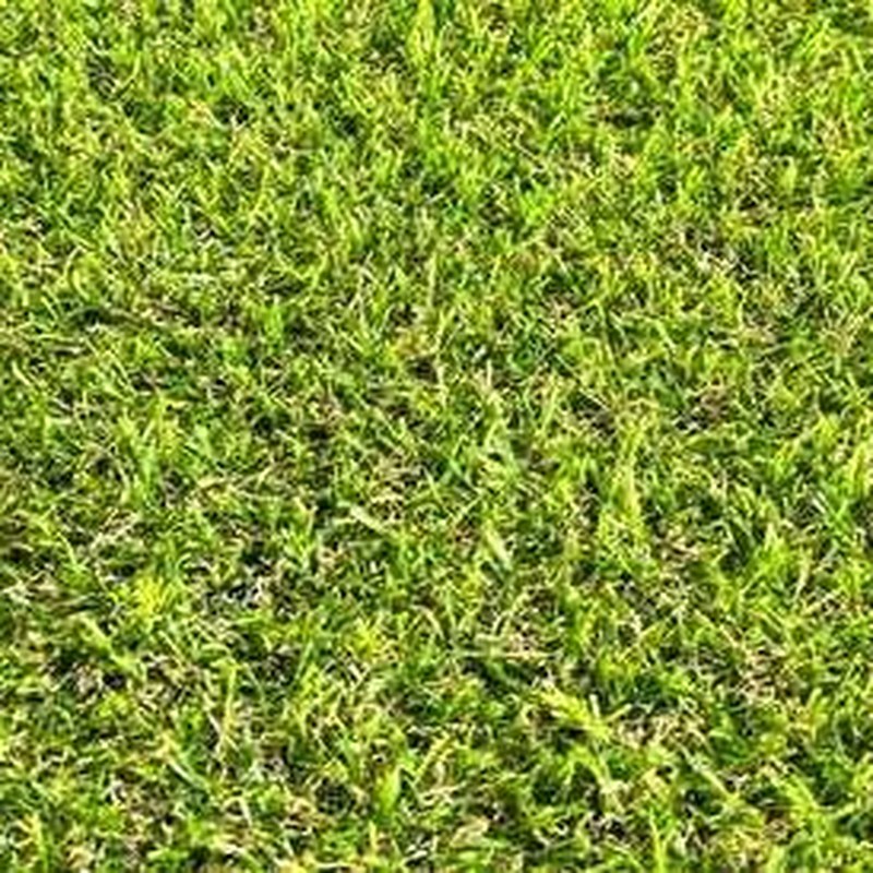 Textura del pasto sintético Capri 20 de 20 mm y 1,580 g/m² — Alta densidad comercial
