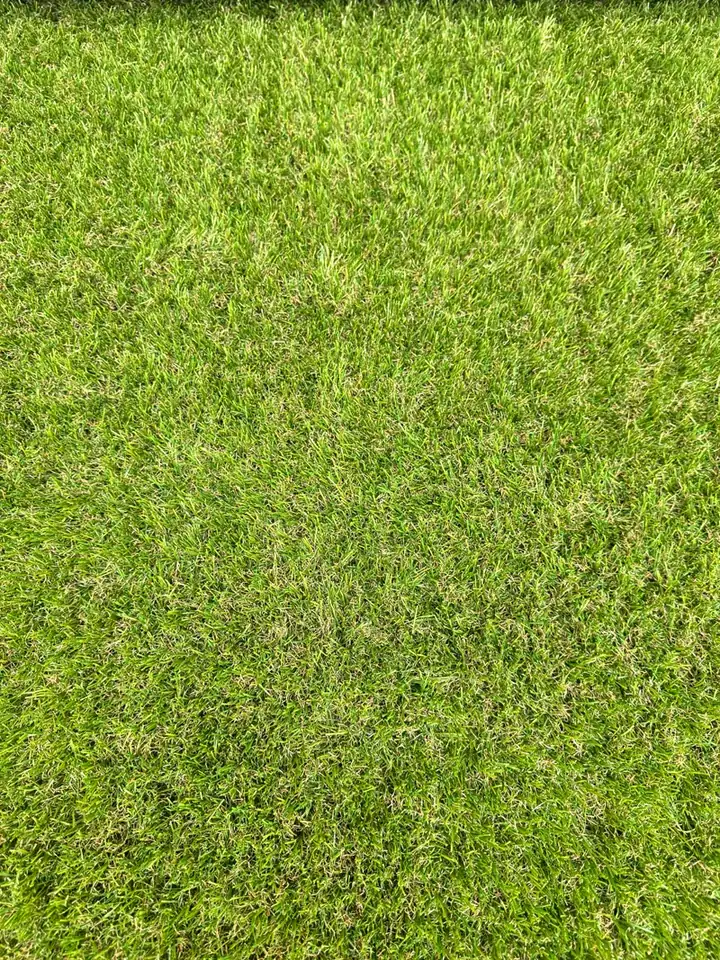 Acercamiento a la fibra del pasto sintético Japonés 35