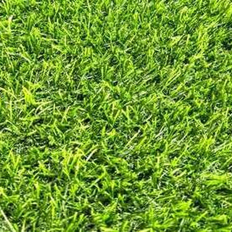 Textura del pasto sintético Irlanda 25 de 25 mm y 1,400 g/m² — Alto tránsito - niños y mascotas