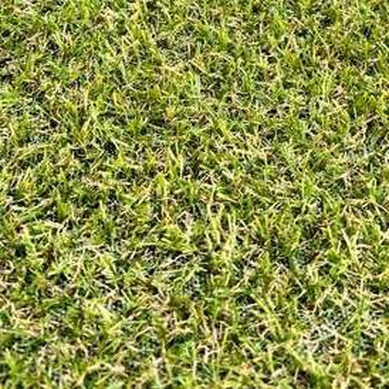 Textura del pasto sintético Toscana 18 de 18 mm y 1,000 g/m² — Económico - el mejor precio