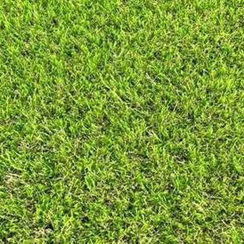 Textura del pasto sintético Viena 30 de 30 mm y 1,800 g/m² — Premium natural