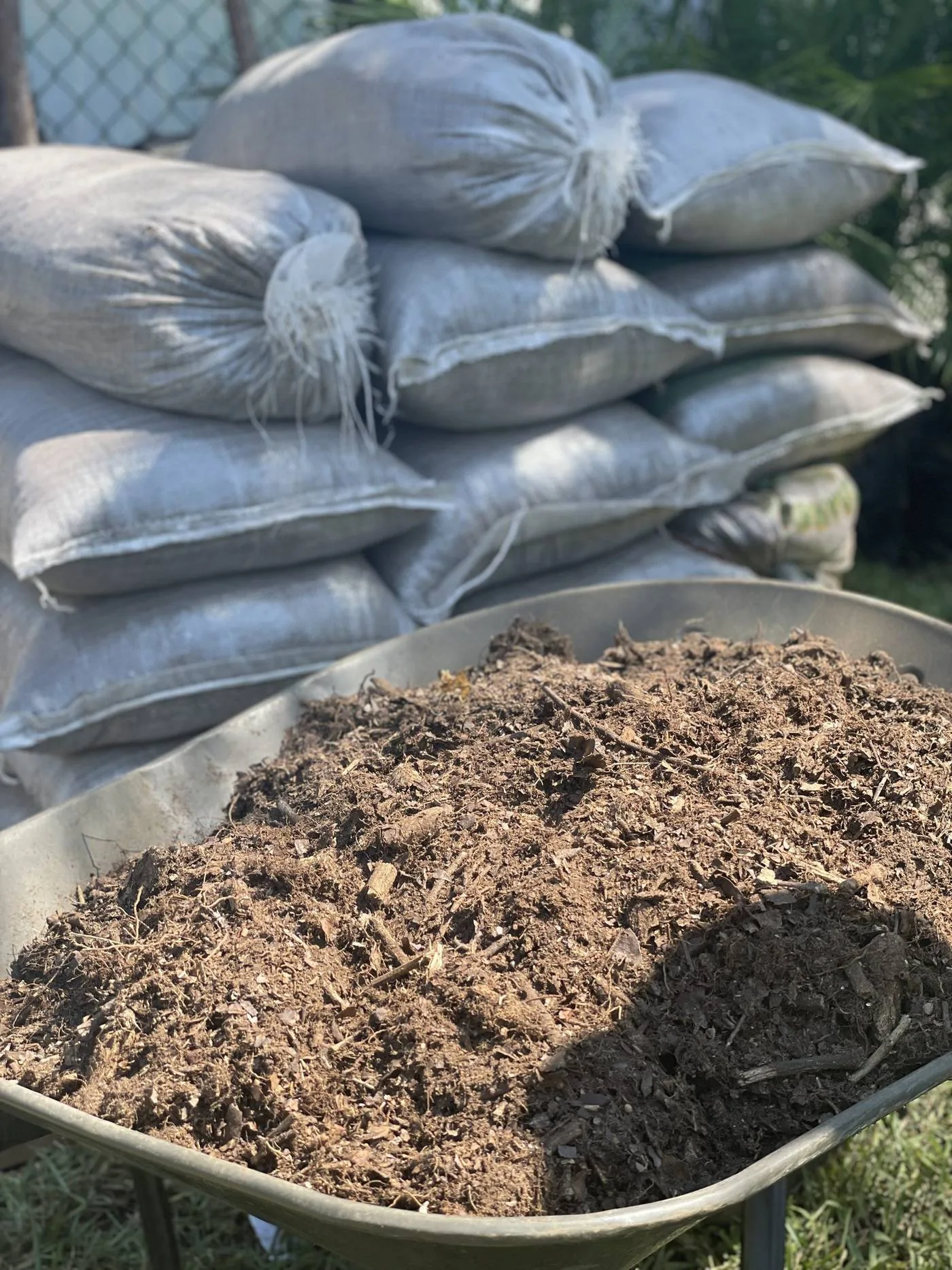 Jardinería profesional en Águila, Tampico - Viveros Terra
