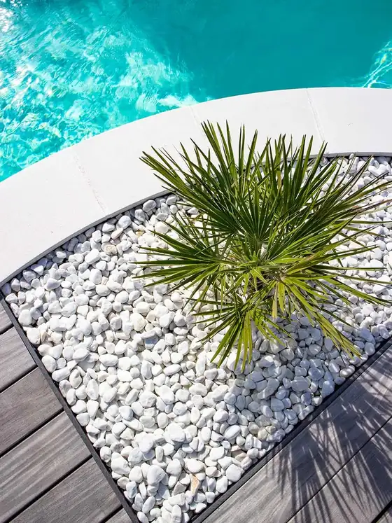 Mármol blanco decorativo junto a una alberca con palmera