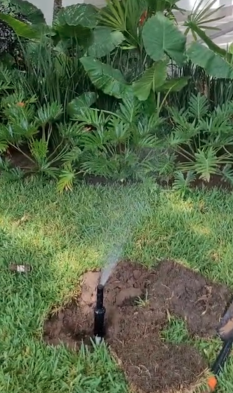 Instalación aspersor jardín tropical Tampico — Viveros Terra