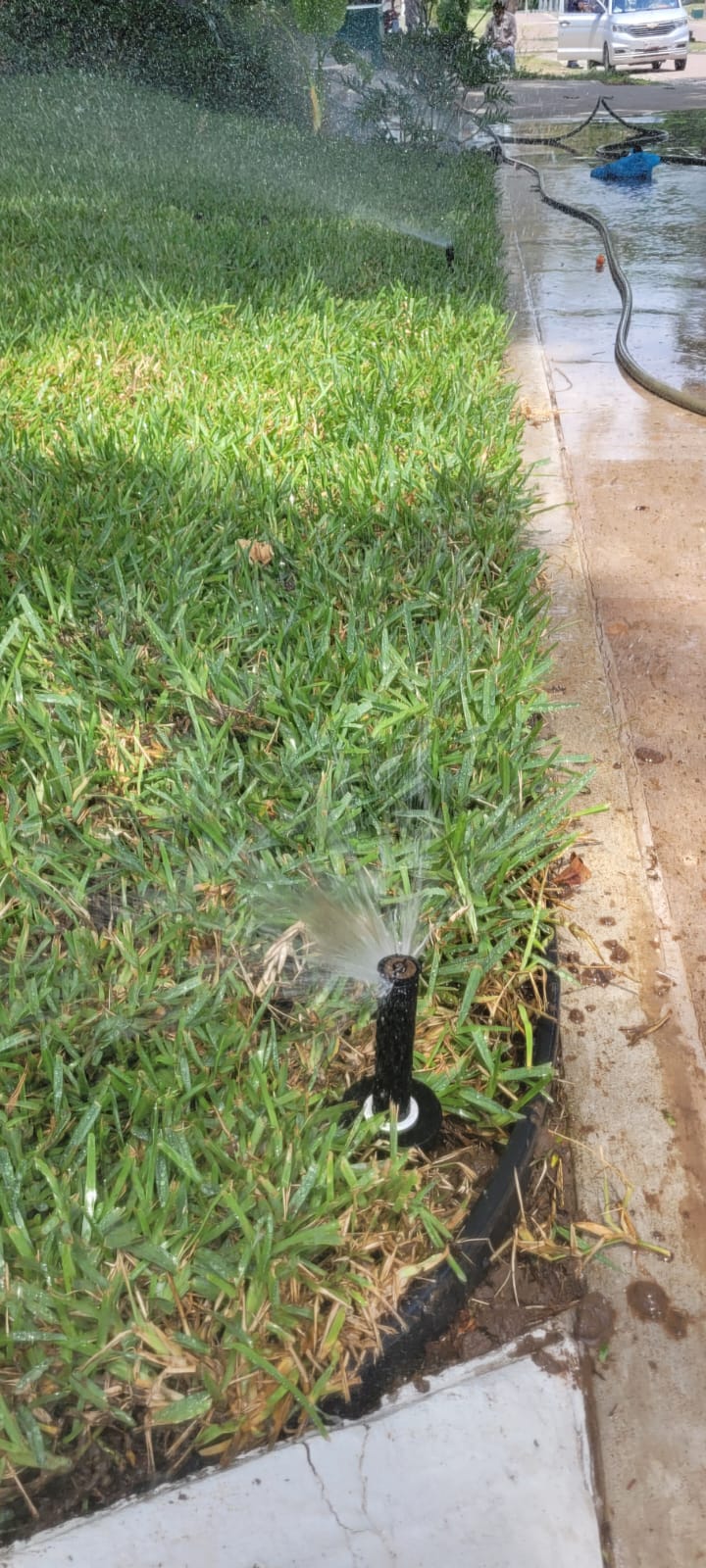 Aspersor fan spray en jardín tropical Tampico — instalación profesional
