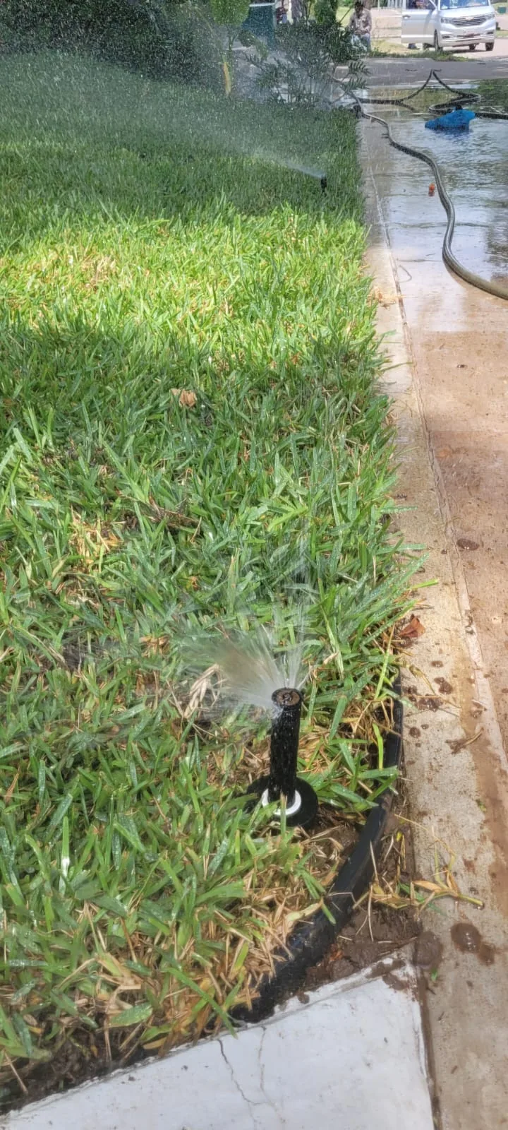Aspersor fan spray en jardín tropical Tampico — instalación profesional