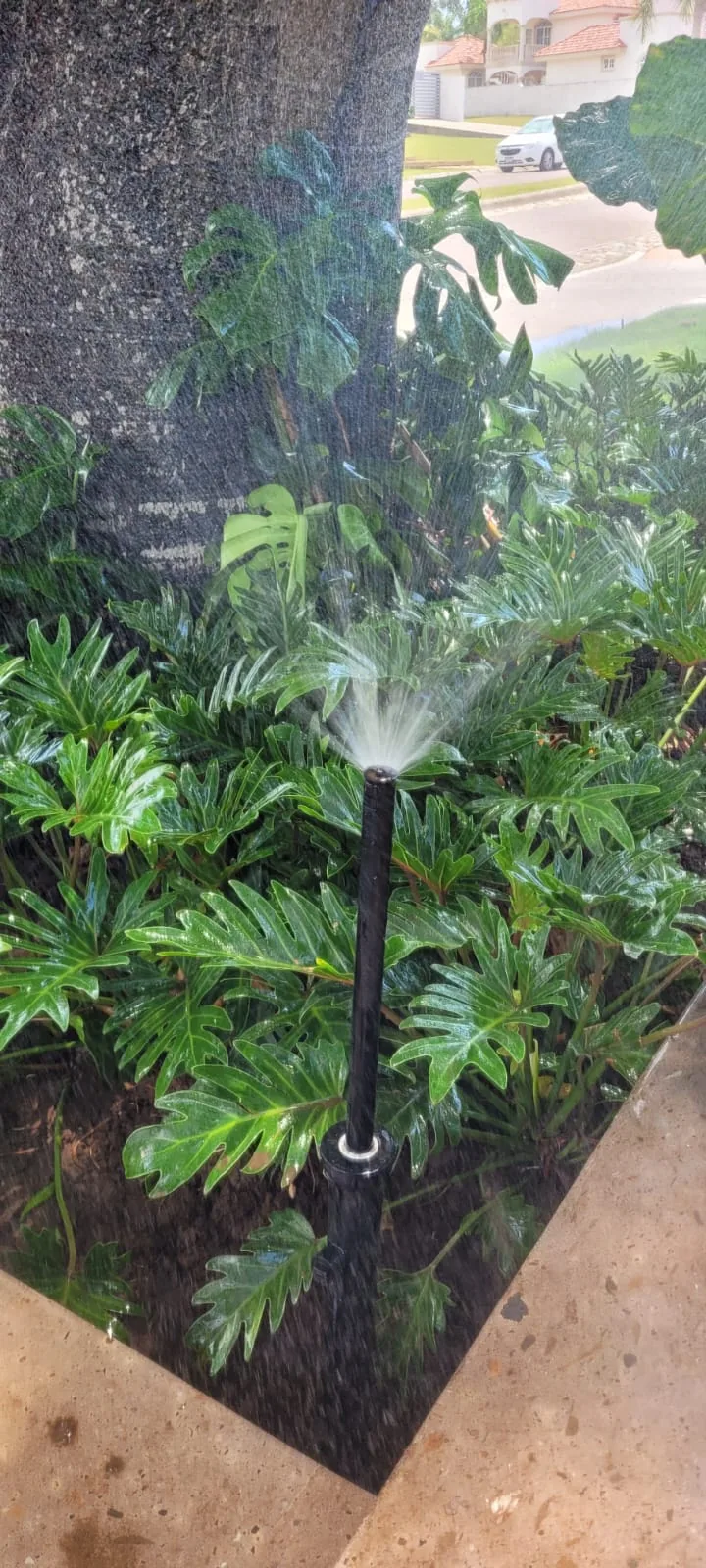 Aspersor emergente en pasto San Agustín — Viveros Terra Tampico