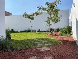 Tezontle rojo con bordillo decorativo en jardín residencial Tampico