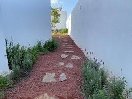 Sendero lateral de tezontle rojo en jardín de Tampico