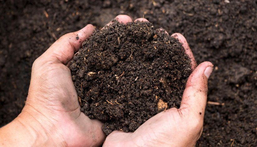 Entrega de tierra negra en camión volteo en Tampico