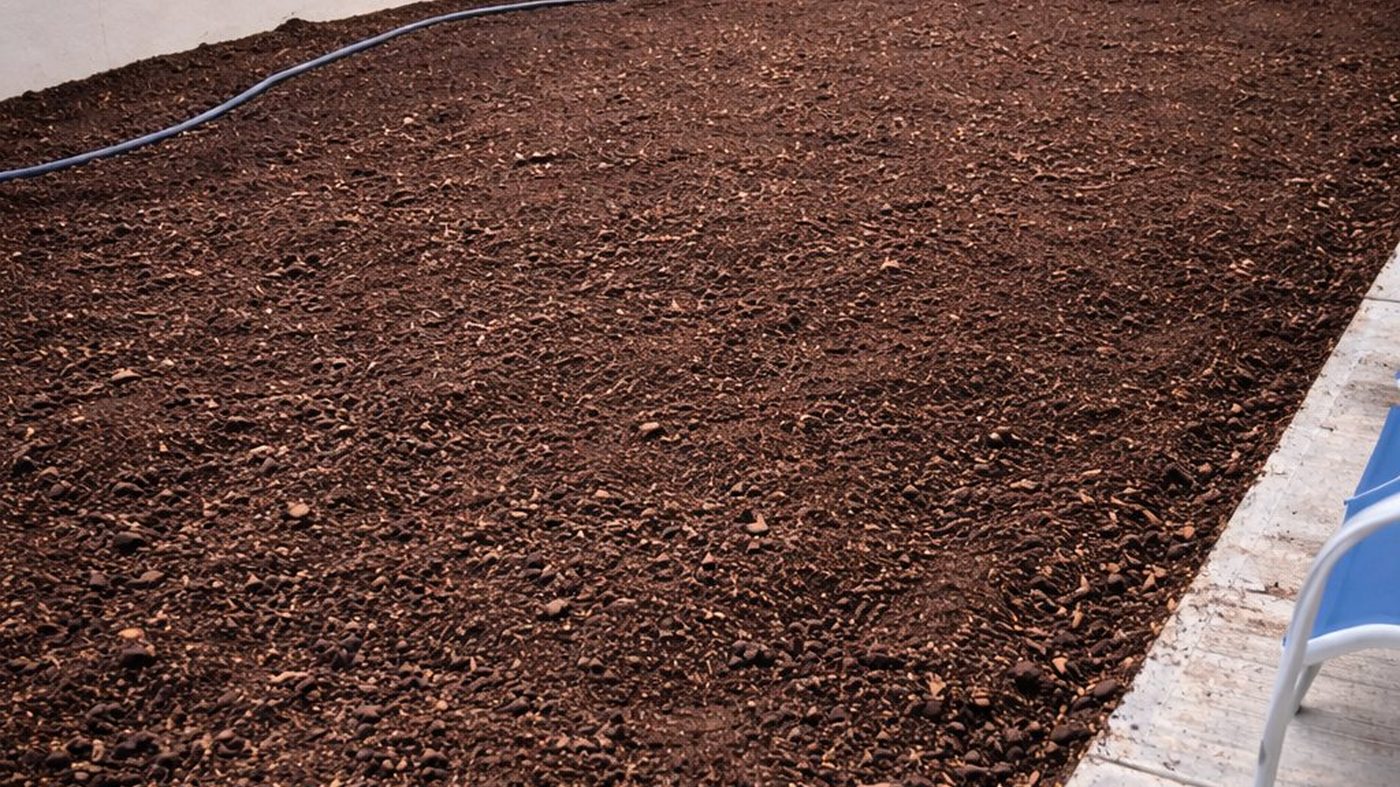 Tierra negra orgánica de alta calidad para jardines en Tampico